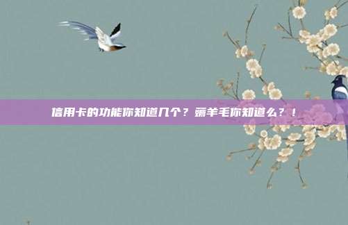 信用卡的功能你知道几个？薅羊毛你知道么？！