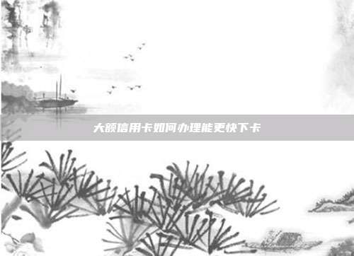 大额信用卡如何办理能更快下卡