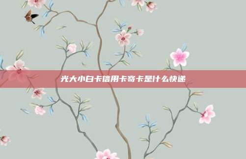 光大小白卡信用卡寄卡是什么快递