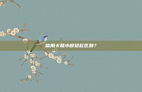 信用卡和小额贷款区别?