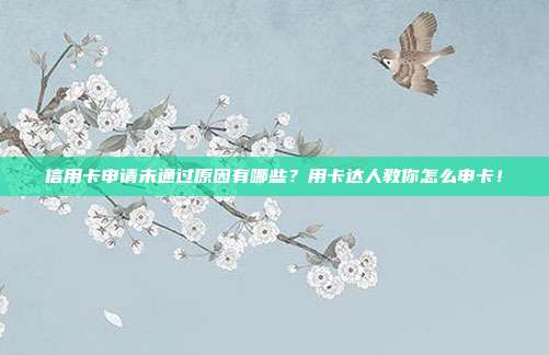 信用卡申请未通过原因有哪些?用卡达人教你怎么申卡!