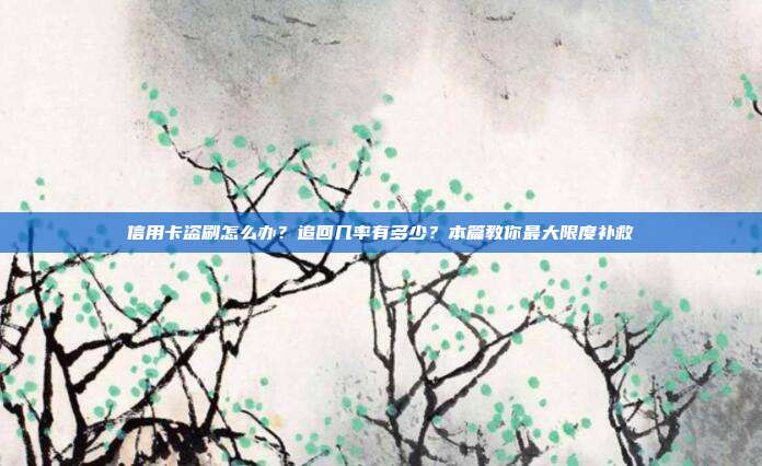 信用卡盗刷怎么办?追回几率有多少?本篇教你最大限度补救