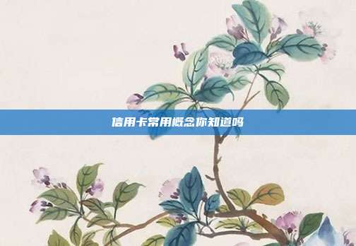 信用卡常用概念你知道吗