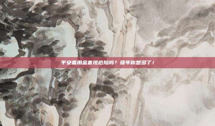 平安备用金套现危险吗?骚年你想多了!