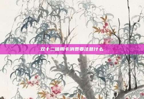 双十二信用卡消费要注意什么