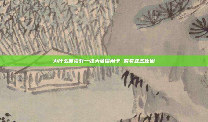 为什么你没有一张大额信用卡 看看这些原因