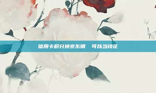 信用卡积分换京东钢镚 可以当钱花