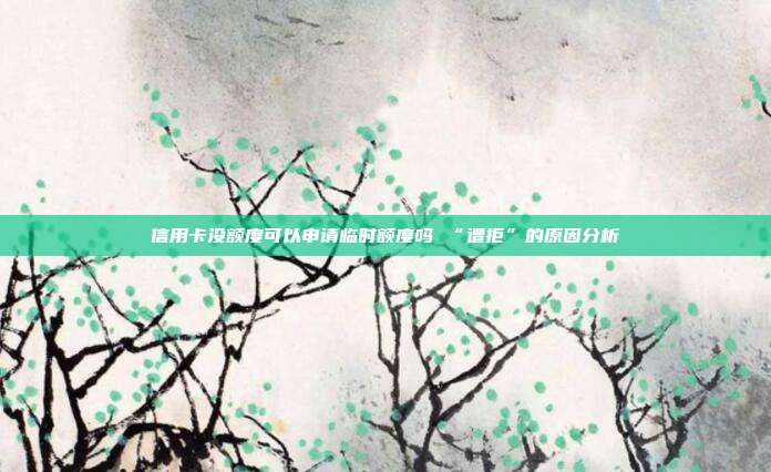 信用卡没额度可以申请临时额度吗 “遭拒”的原因分析
