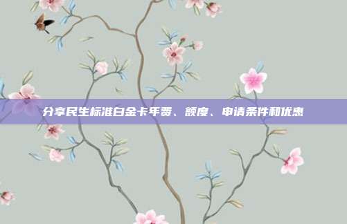 分享民生标准白金卡年费、额度、申请条件和优惠