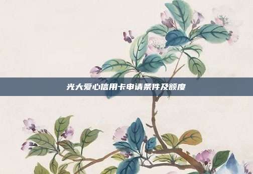 光大爱心信用卡申请条件及额度