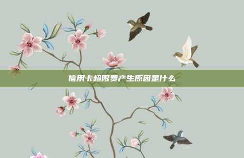 信用卡超限费产生原因是什么