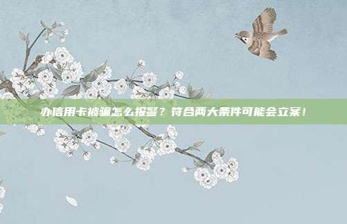 办信用卡被骗怎么报警？符合两大条件可能会立案！