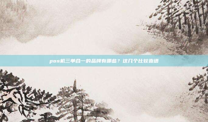 pos机三单合一的品牌有哪些？这几个比较靠谱