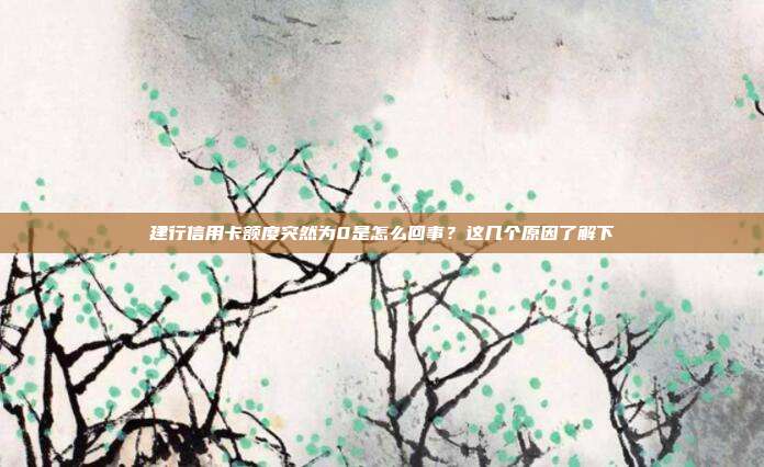 建行信用卡额度突然为0是怎么回事?这几个原因了解下