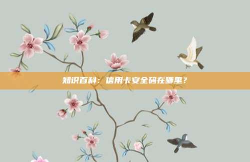 知识百科:信用卡安全码在哪里?