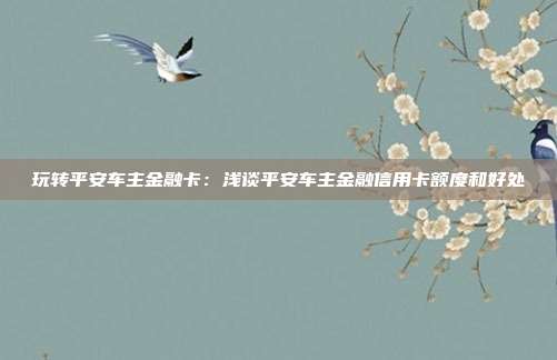 玩转平安车主金融卡:浅谈平安车主金融信用卡额度和好处