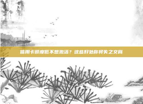 信用卡额度低不想激活?这些好处你将失之交臂