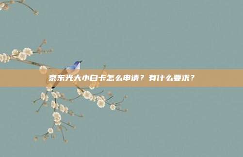 京东光大小白卡怎么申请?有什么要求?