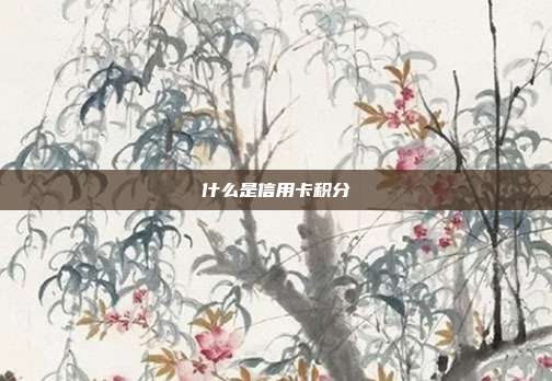 什么是信用卡积分