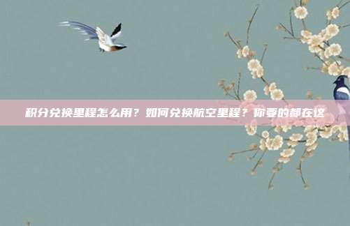 积分兑换里程怎么用？如何兑换航空里程？你要的都在这