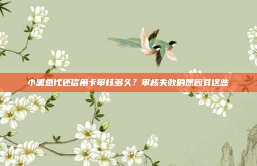 小黑鱼代还信用卡审核多久？审核失败的原因有这些