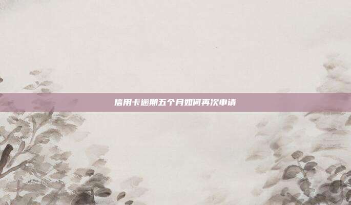 信用卡逾期五个月如何再次申请