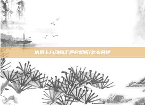 信用卡自动购汇还款如何/怎么开通