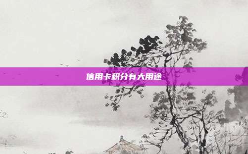 信用卡积分有大用途