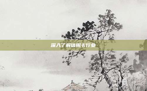 深入了解信用卡行业