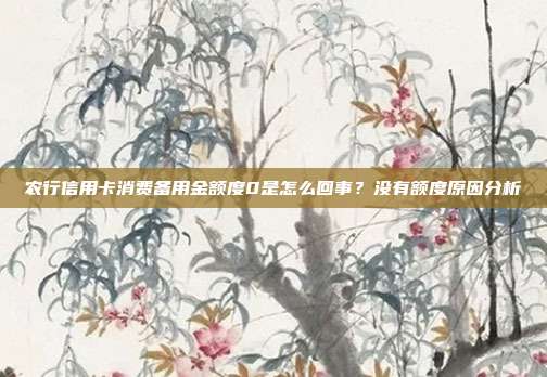 农行信用卡消费备用金额度0是怎么回事?没有额度原因分析