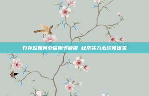 有存款如何办信用卡额度 经济实力必须亮出来