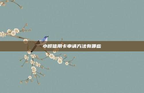 小额信用卡申请方法有哪些