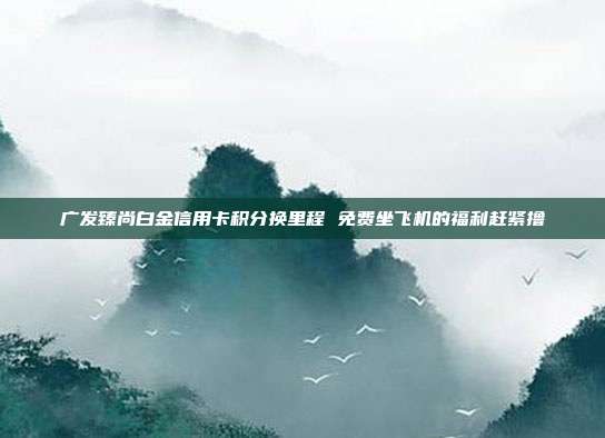广发臻尚白金信用卡积分换里程 免费坐飞机的福利赶紧撸