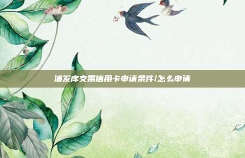 浦发库支票信用卡申请条件/怎么申请