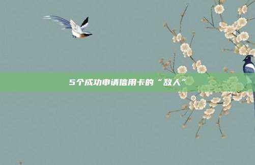 5个成功申请信用卡的“敌人”