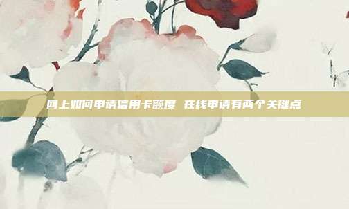 网上如何申请信用卡额度 在线申请有两个关键点