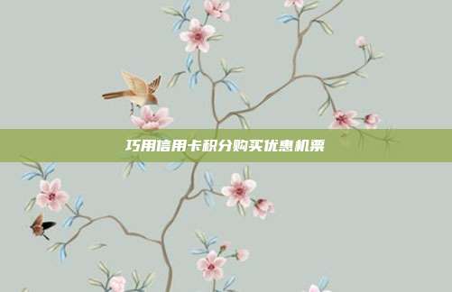 巧用信用卡积分购买优惠机票