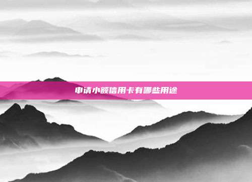申请小额信用卡有哪些用途