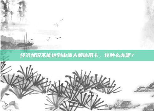 经济状况不能达到申请大额信用卡，该肿么办呢？
