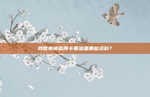 我想申请信用卡要准备哪些资料?