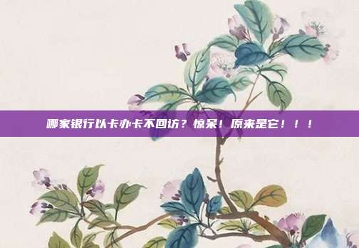 哪家银行以卡办卡不回访?惊呆!原来是它!!!