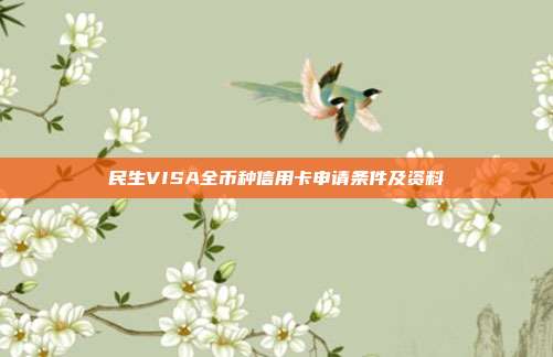民生VISA全币种信用卡申请条件及资料