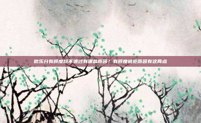 微乐分有额度却不通过有哪些原因?有额度被拒原因有这两点