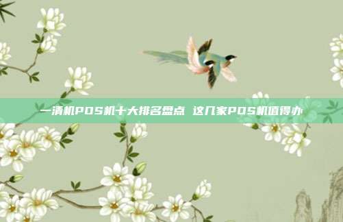 一清机POS机十大排名盘点 这几家POS机值得办