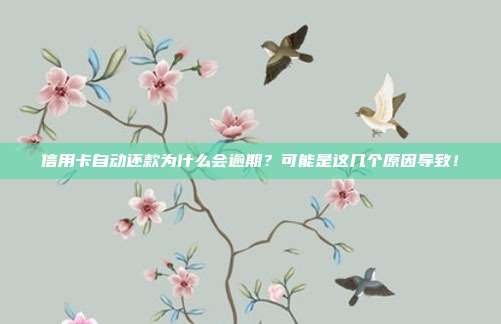 信用卡自动还款为什么会逾期?可能是这几个原因导致!