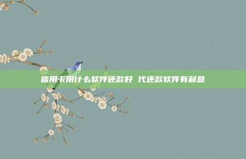 信用卡用什么软件还款好 代还款软件有利息