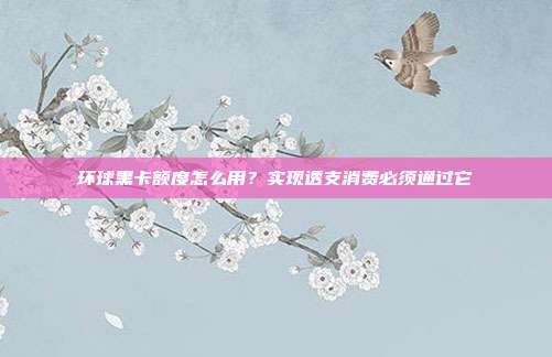 环球黑卡额度怎么用？实现透支消费必须通过它