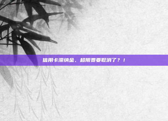信用卡滞纳金、超限费要取消了？！