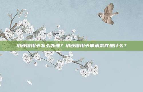小额信用卡怎么办理？小额信用卡申请条件是什么？