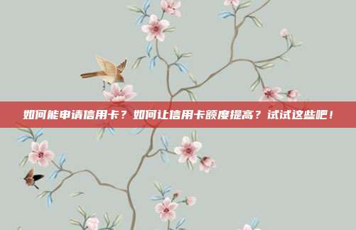 如何能申请信用卡？如何让信用卡额度提高？试试这些吧！